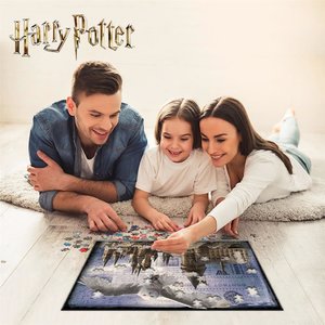 Puzzle 3D - Harry Potter2