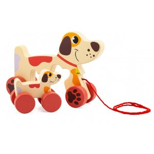 a-trainer-maman-chien1