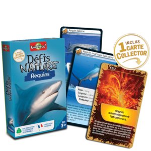 defis-nature-requins3